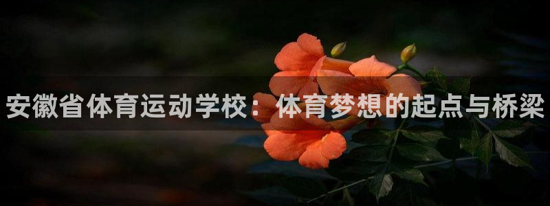 熊猫体育v3.新网页.org：安徽省体育运动学校：体育梦想的起点与桥梁