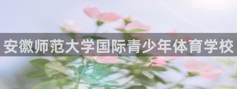 熊猫体育比赛直播：安徽师范大学国际青少年体育学校