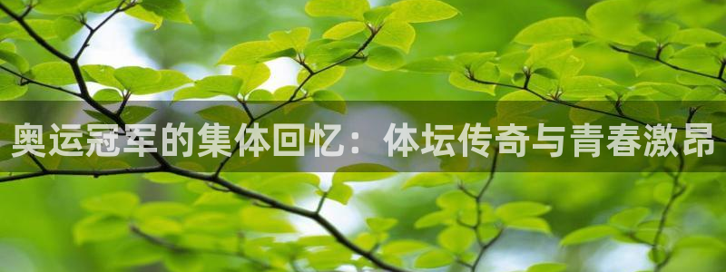 熊猫体育官网：奥运冠军的集体回忆：体坛传奇与青春激昂