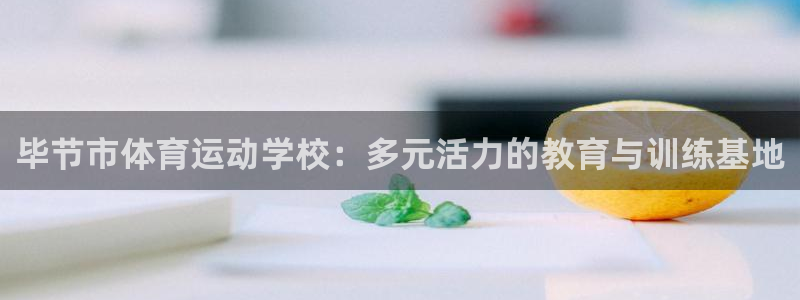 熊猫体育app官网入口：毕节市体育运动学校：多元活力的教育与训练基地